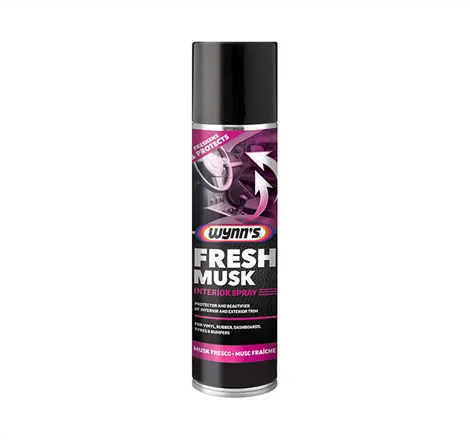 Wynn's Fresh 250ml Aerosol Musk Wynns - 1