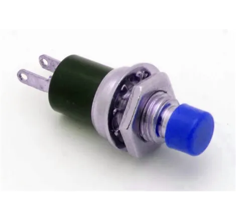 Momentary Push Button Switch - Blue Cool Boost Systems - 1