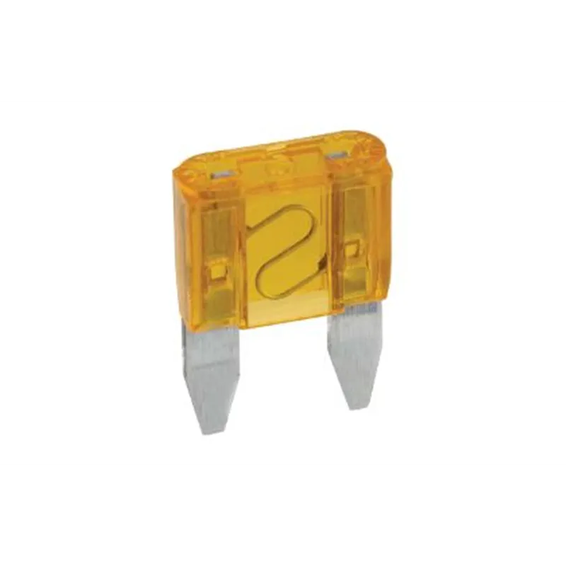 5A Automotive Mini Fuse