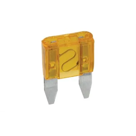 5A Automotive Mini Fuse