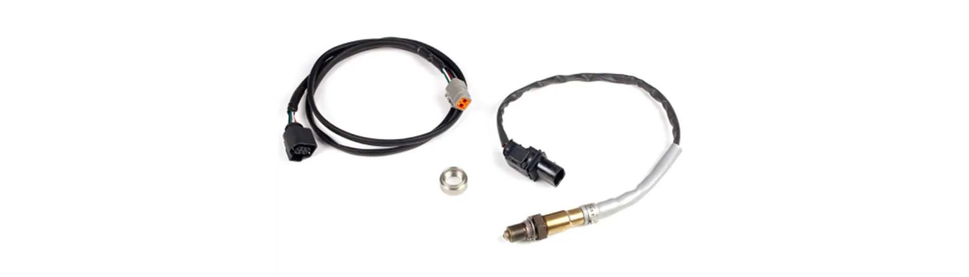 Oxygen Sensors