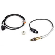Oxygen Sensors